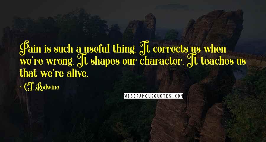 C.J. Redwine Quotes: Pain is such a useful thing. It corrects us when we're wrong. It shapes our character. It teaches us that we're alive.