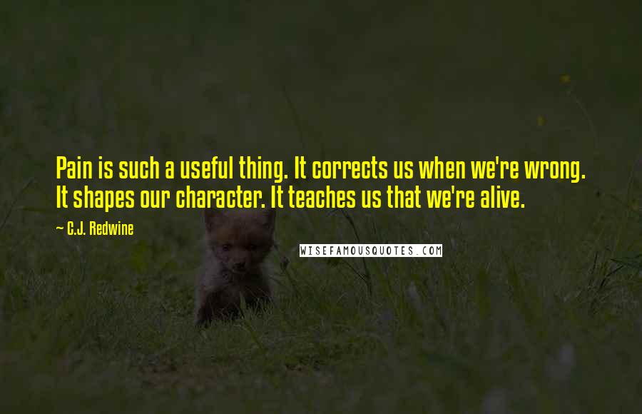 C.J. Redwine Quotes: Pain is such a useful thing. It corrects us when we're wrong. It shapes our character. It teaches us that we're alive.