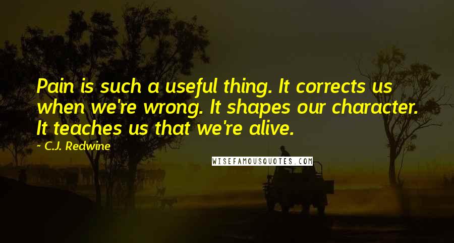 C.J. Redwine Quotes: Pain is such a useful thing. It corrects us when we're wrong. It shapes our character. It teaches us that we're alive.