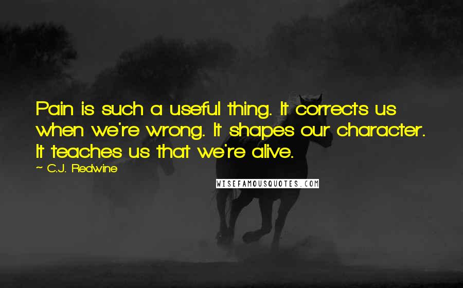 C.J. Redwine Quotes: Pain is such a useful thing. It corrects us when we're wrong. It shapes our character. It teaches us that we're alive.