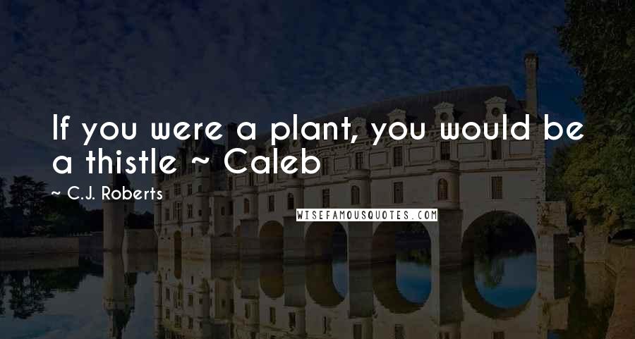 C.J. Roberts Quotes: If you were a plant, you would be a thistle ~ Caleb