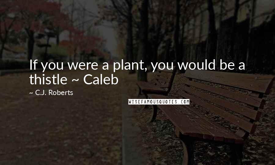 C.J. Roberts Quotes: If you were a plant, you would be a thistle ~ Caleb