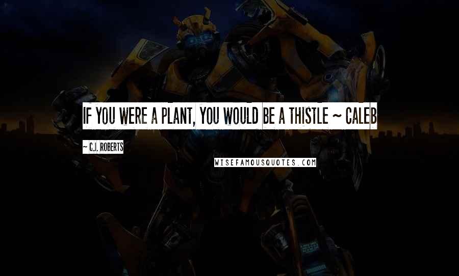 C.J. Roberts Quotes: If you were a plant, you would be a thistle ~ Caleb