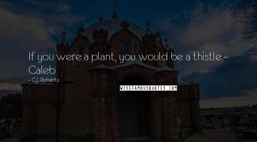 C.J. Roberts Quotes: If you were a plant, you would be a thistle ~ Caleb