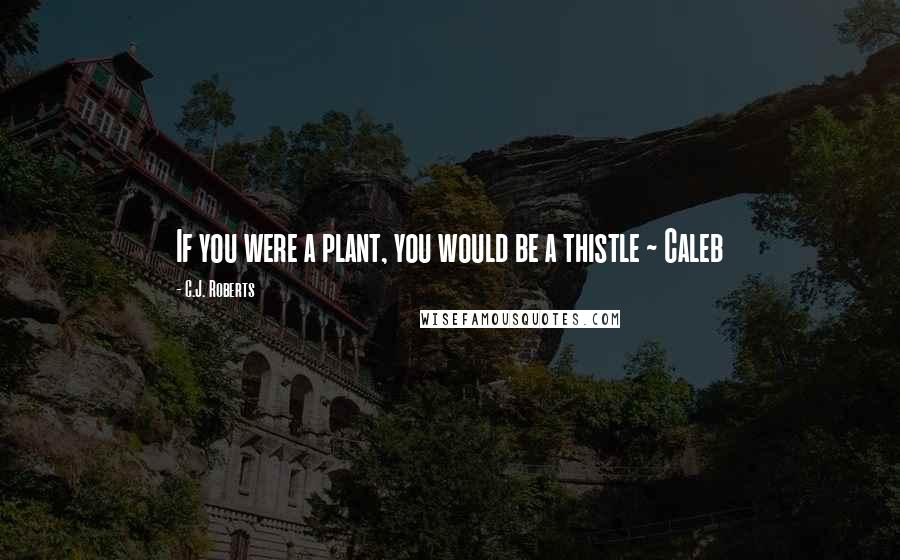 C.J. Roberts Quotes: If you were a plant, you would be a thistle ~ Caleb