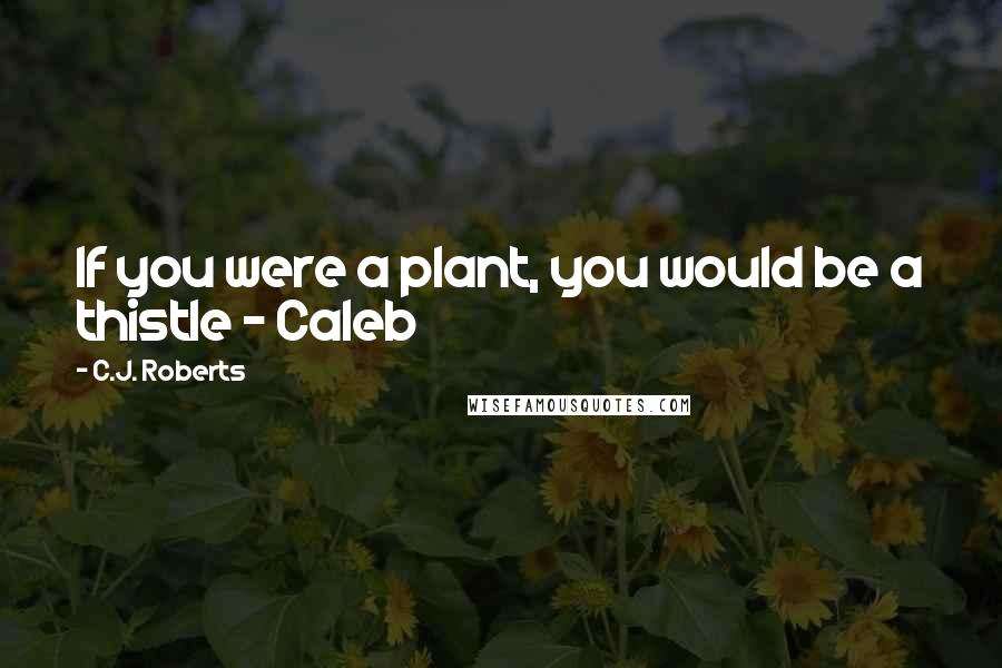 C.J. Roberts Quotes: If you were a plant, you would be a thistle ~ Caleb