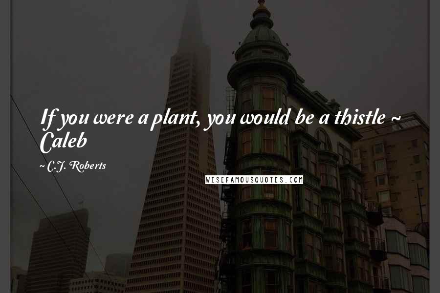 C.J. Roberts Quotes: If you were a plant, you would be a thistle ~ Caleb