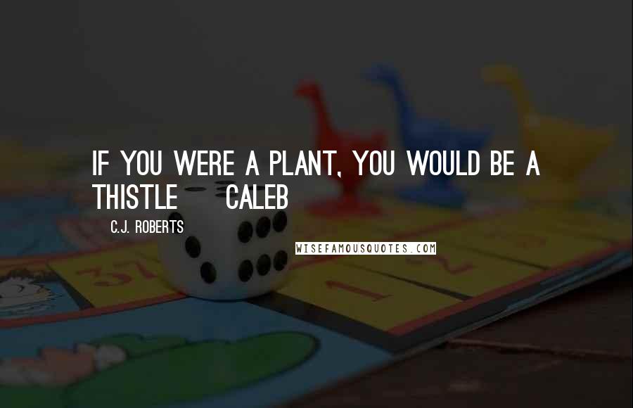 C.J. Roberts Quotes: If you were a plant, you would be a thistle ~ Caleb