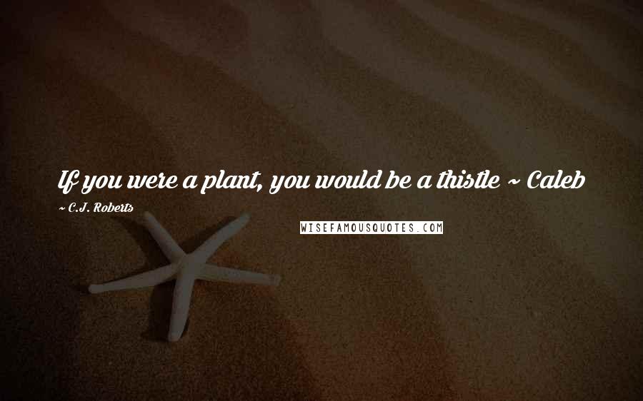 C.J. Roberts Quotes: If you were a plant, you would be a thistle ~ Caleb