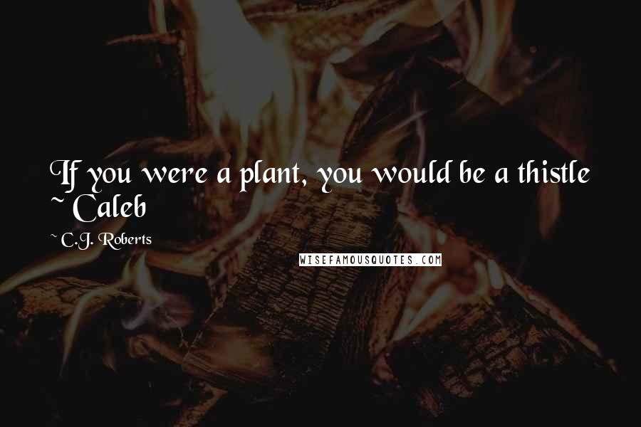 C.J. Roberts Quotes: If you were a plant, you would be a thistle ~ Caleb