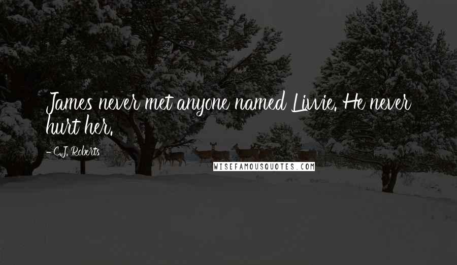 C.J. Roberts Quotes: James never met anyone named Livvie. He never hurt her.