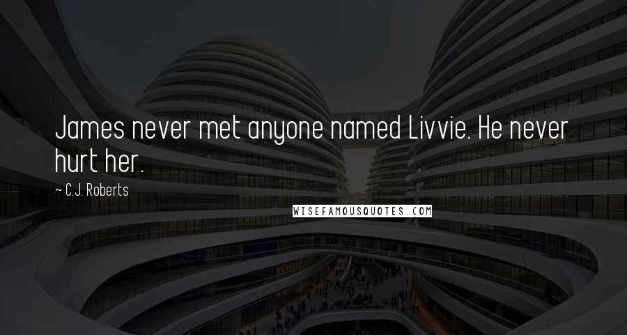 C.J. Roberts Quotes: James never met anyone named Livvie. He never hurt her.