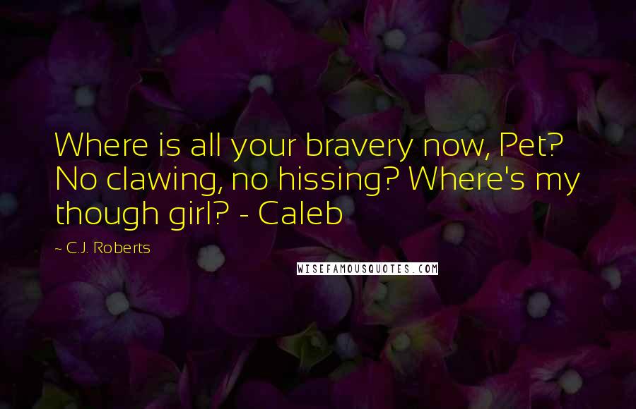 C.J. Roberts Quotes: Where is all your bravery now, Pet? No clawing, no hissing? Where's my though girl? - Caleb