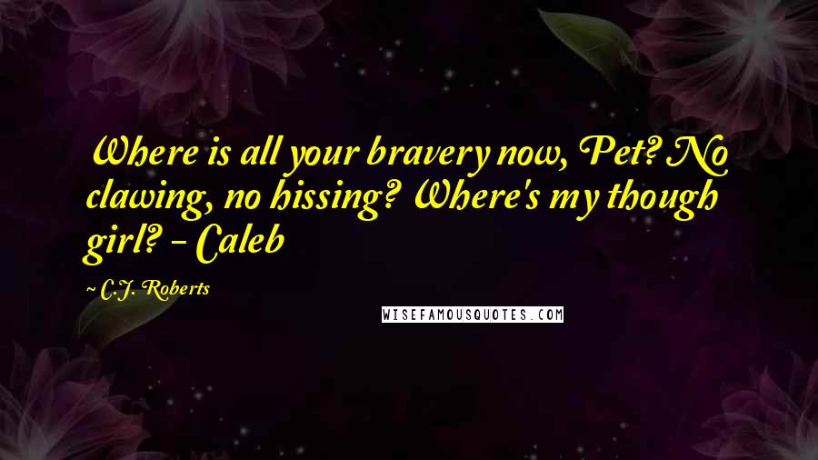 C.J. Roberts Quotes: Where is all your bravery now, Pet? No clawing, no hissing? Where's my though girl? - Caleb