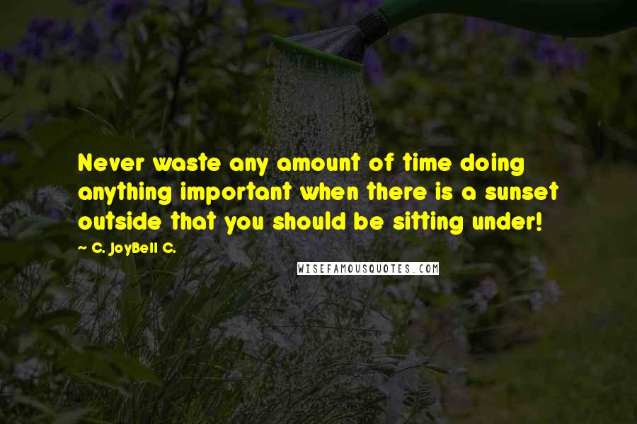 C. JoyBell C. Quotes: Never waste any amount of time doing anything important when there is a sunset outside that you should be sitting under!