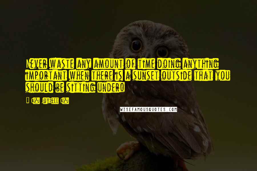 C. JoyBell C. Quotes: Never waste any amount of time doing anything important when there is a sunset outside that you should be sitting under!