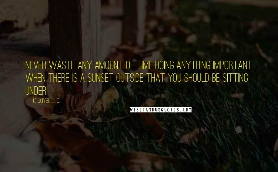 C. JoyBell C. Quotes: Never waste any amount of time doing anything important when there is a sunset outside that you should be sitting under!