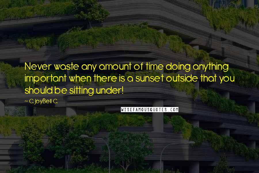 C. JoyBell C. Quotes: Never waste any amount of time doing anything important when there is a sunset outside that you should be sitting under!