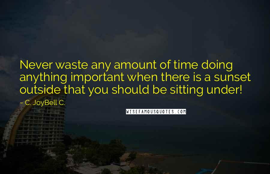 C. JoyBell C. Quotes: Never waste any amount of time doing anything important when there is a sunset outside that you should be sitting under!