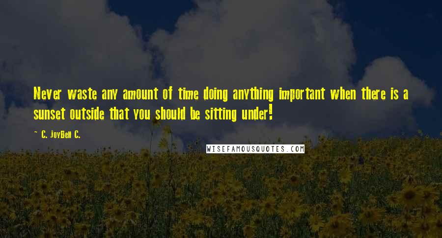 C. JoyBell C. Quotes: Never waste any amount of time doing anything important when there is a sunset outside that you should be sitting under!