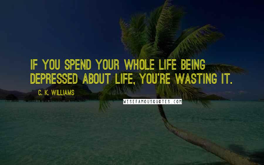 C. K. Williams Quotes: If you spend your whole life being depressed about life, you're wasting it.