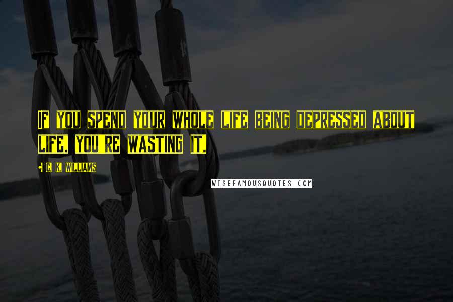 C. K. Williams Quotes: If you spend your whole life being depressed about life, you're wasting it.