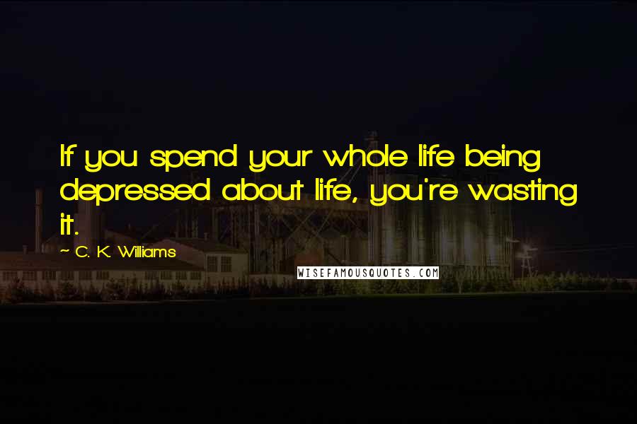 C. K. Williams Quotes: If you spend your whole life being depressed about life, you're wasting it.