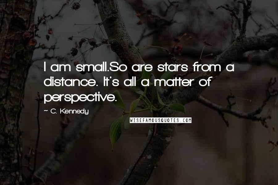 C. Kennedy Quotes: I am small.So are stars from a distance. It's all a matter of perspective.