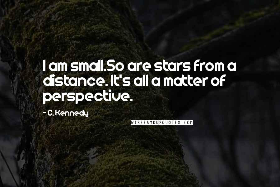 C. Kennedy Quotes: I am small.So are stars from a distance. It's all a matter of perspective.