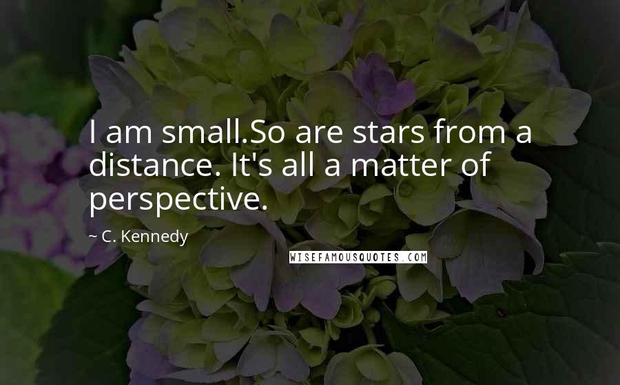 C. Kennedy Quotes: I am small.So are stars from a distance. It's all a matter of perspective.