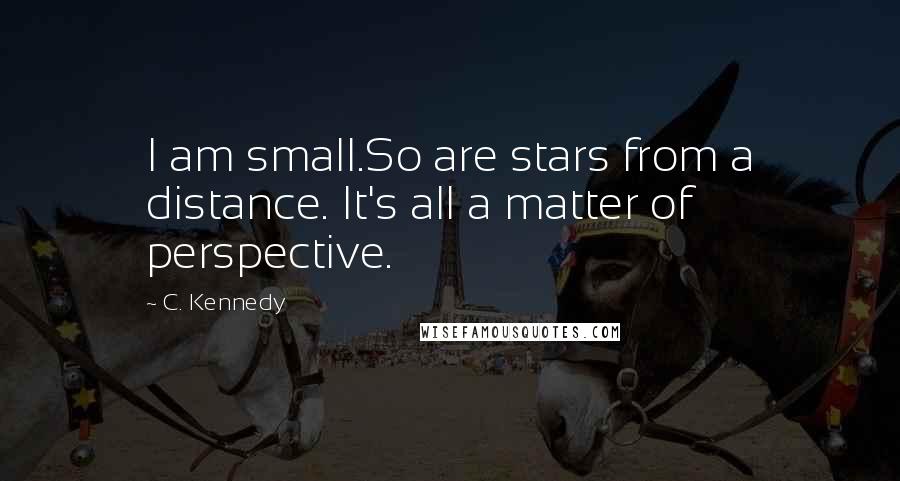 C. Kennedy Quotes: I am small.So are stars from a distance. It's all a matter of perspective.