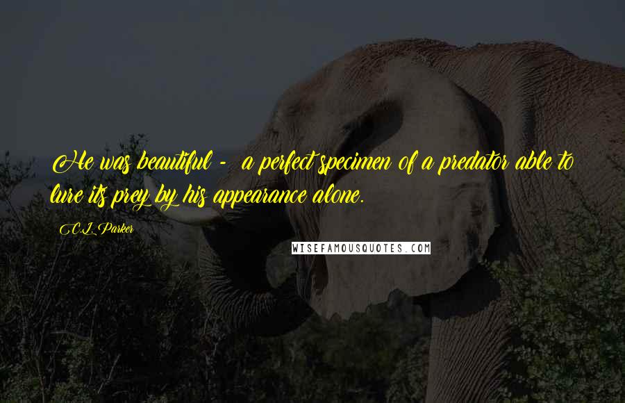 C.L. Parker Quotes: He was beautiful -  a perfect specimen of a predator able to lure its prey by his appearance alone.