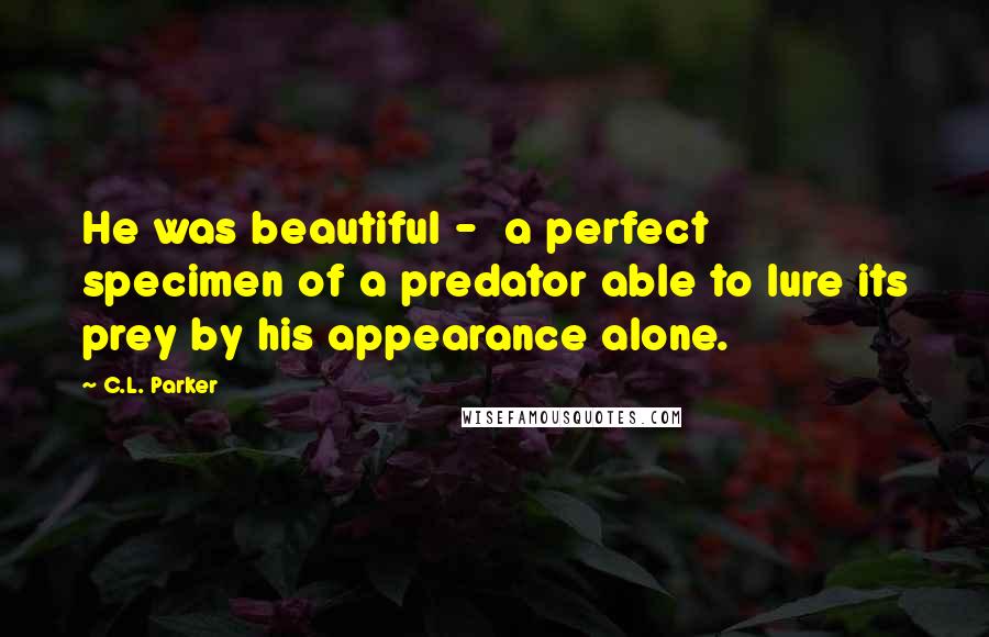 C.L. Parker Quotes: He was beautiful -  a perfect specimen of a predator able to lure its prey by his appearance alone.