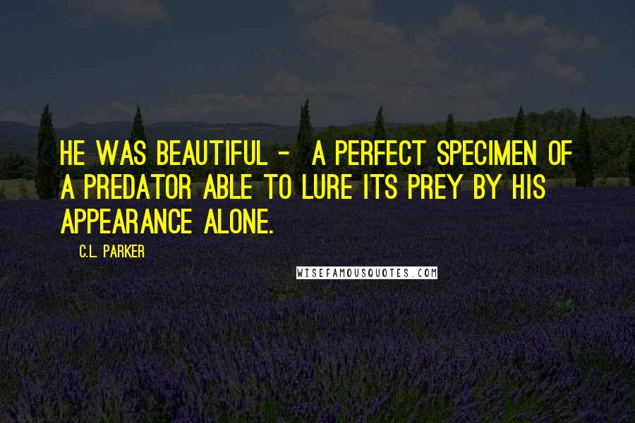 C.L. Parker Quotes: He was beautiful -  a perfect specimen of a predator able to lure its prey by his appearance alone.