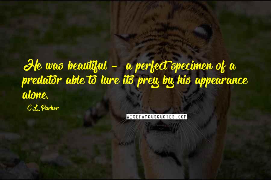 C.L. Parker Quotes: He was beautiful -  a perfect specimen of a predator able to lure its prey by his appearance alone.