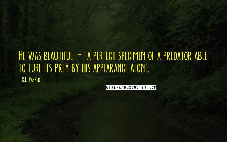 C.L. Parker Quotes: He was beautiful -  a perfect specimen of a predator able to lure its prey by his appearance alone.