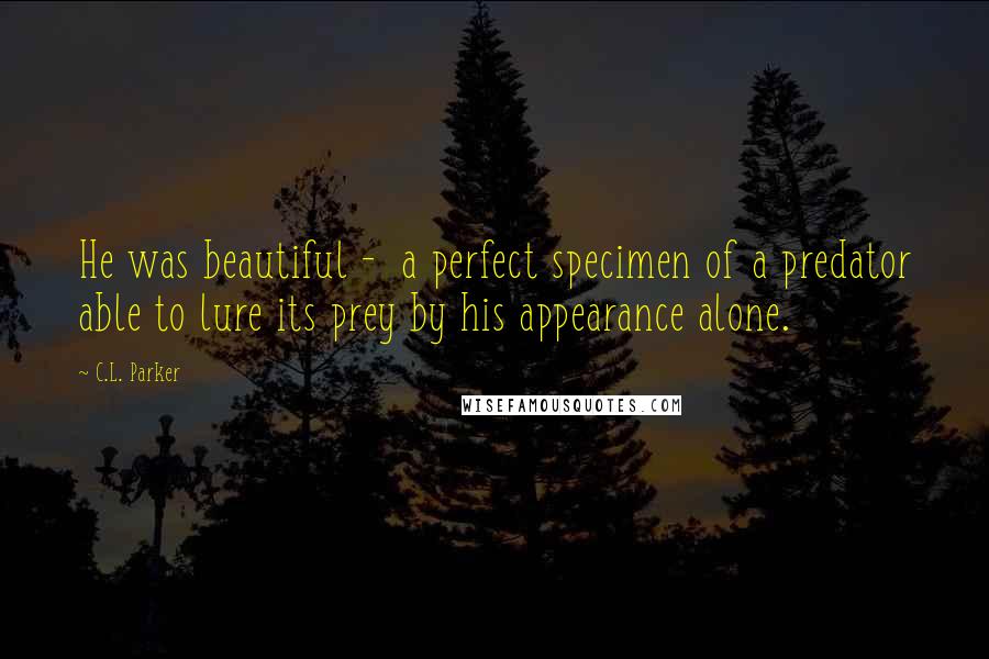 C.L. Parker Quotes: He was beautiful -  a perfect specimen of a predator able to lure its prey by his appearance alone.