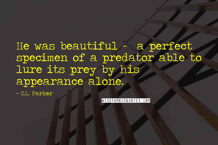 C.L. Parker Quotes: He was beautiful -  a perfect specimen of a predator able to lure its prey by his appearance alone.