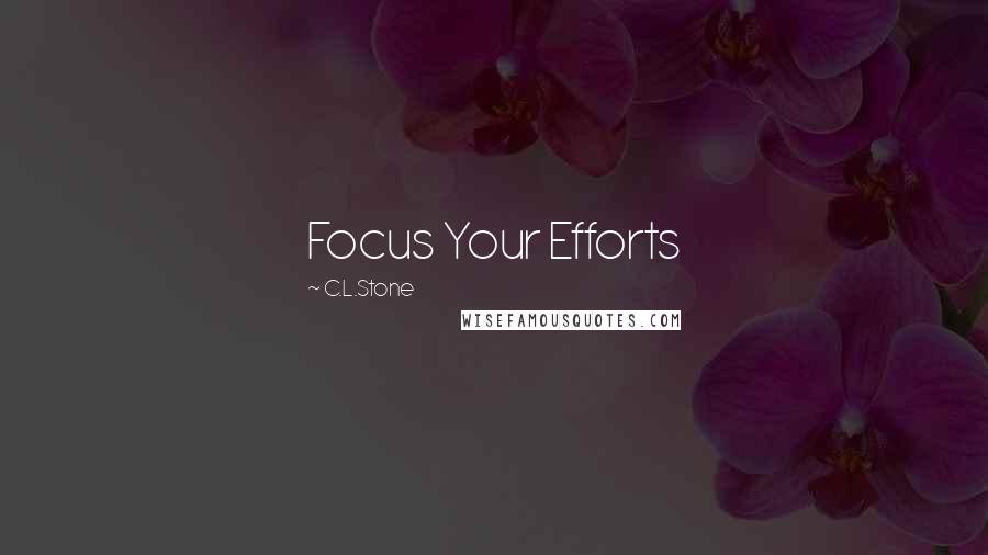 C.L.Stone Quotes: Focus Your Efforts