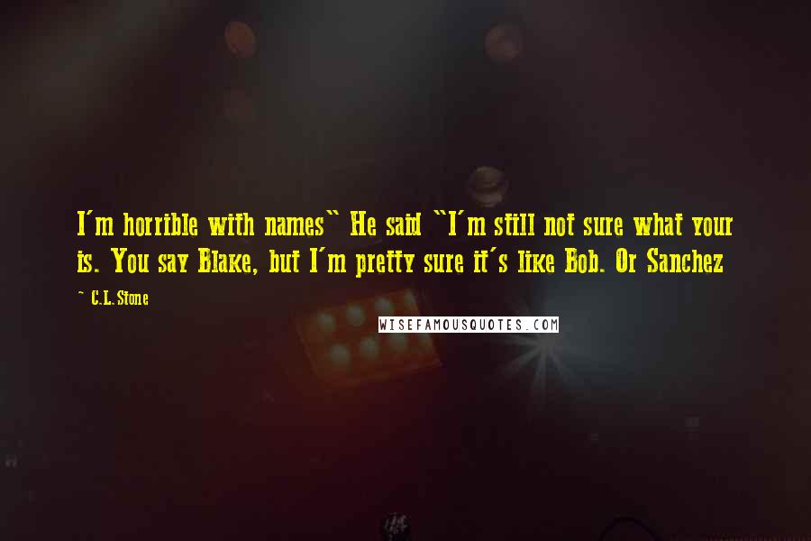 C.L.Stone Quotes: I'm horrible with names" He said "I'm still not sure what your is. You say Blake, but I'm pretty sure it's like Bob. Or Sanchez