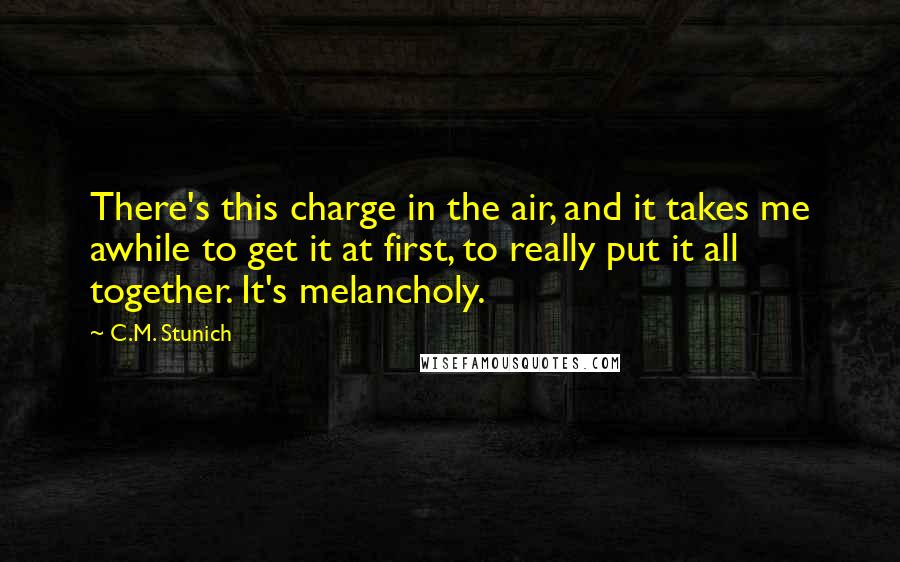 C.M. Stunich Quotes: There's this charge in the air, and it takes me awhile to get it at first, to really put it all together. It's melancholy.