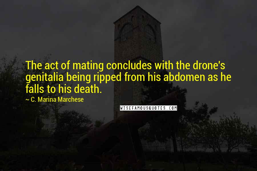 C. Marina Marchese Quotes: The act of mating concludes with the drone's genitalia being ripped from his abdomen as he falls to his death.