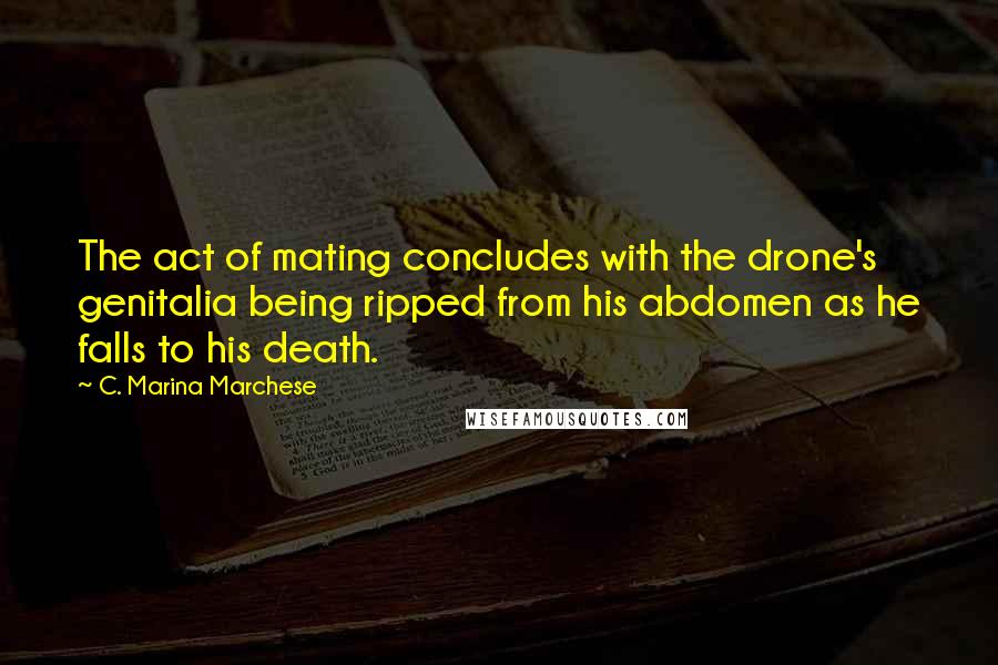 C. Marina Marchese Quotes: The act of mating concludes with the drone's genitalia being ripped from his abdomen as he falls to his death.
