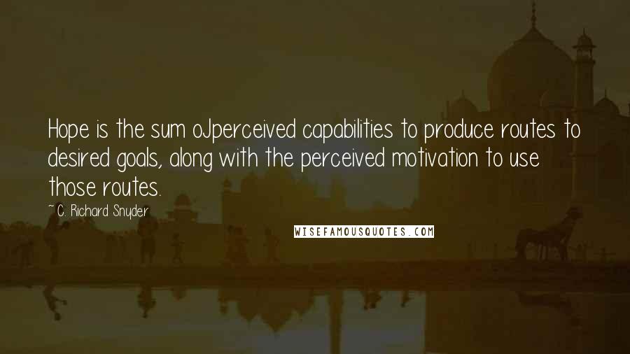 C. Richard Snyder Quotes: Hope is the sum oJperceived capabilities to produce routes to desired goals, along with the perceived motivation to use those routes.