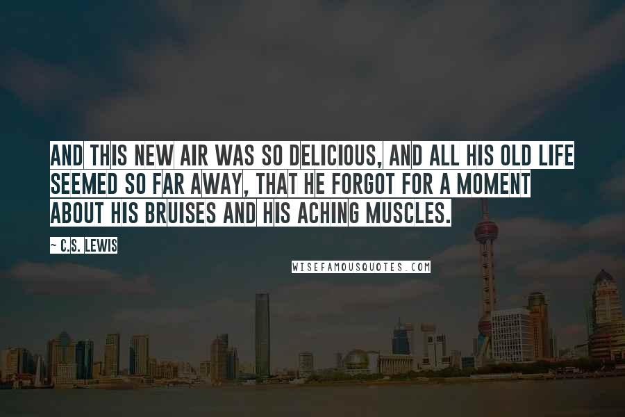 C.S. Lewis Quotes: And this new air was so delicious, and all his old life seemed so far away, that he forgot for a moment about his bruises and his aching muscles.
