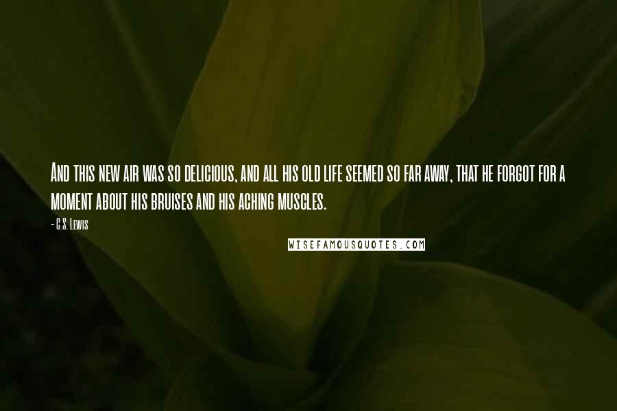 C.S. Lewis Quotes: And this new air was so delicious, and all his old life seemed so far away, that he forgot for a moment about his bruises and his aching muscles.