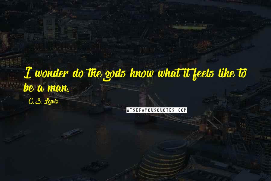 C.S. Lewis Quotes: I wonder do the gods know what it feels like to be a man.