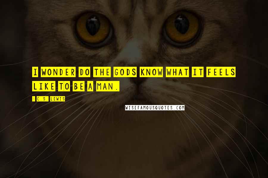 C.S. Lewis Quotes: I wonder do the gods know what it feels like to be a man.