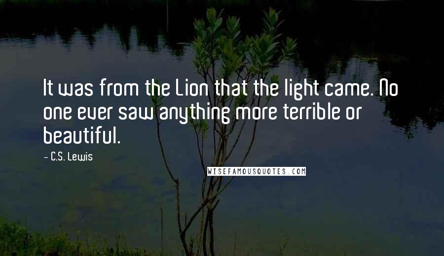 C.S. Lewis Quotes: It was from the Lion that the light came. No one ever saw anything more terrible or beautiful.