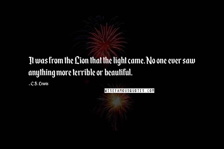 C.S. Lewis Quotes: It was from the Lion that the light came. No one ever saw anything more terrible or beautiful.